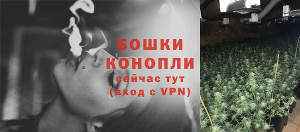 соль ск Балабаново