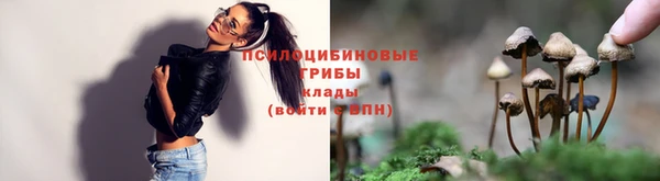 соль ск Балабаново